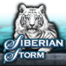 Play Siberian Storm Slot Free | Demo & Real Money (Canada)