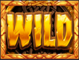 vikings-go-berzerk-reloaded-slot-wild-symbol-img
