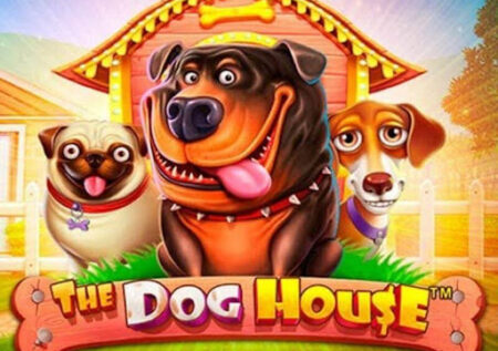 Play The Dog House Slot Free – Demo & Real Money in Canada