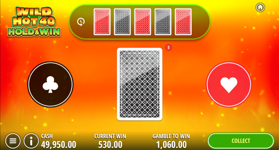 wild-hot-40-hold-and-win-slot-gamble-game-feature-img