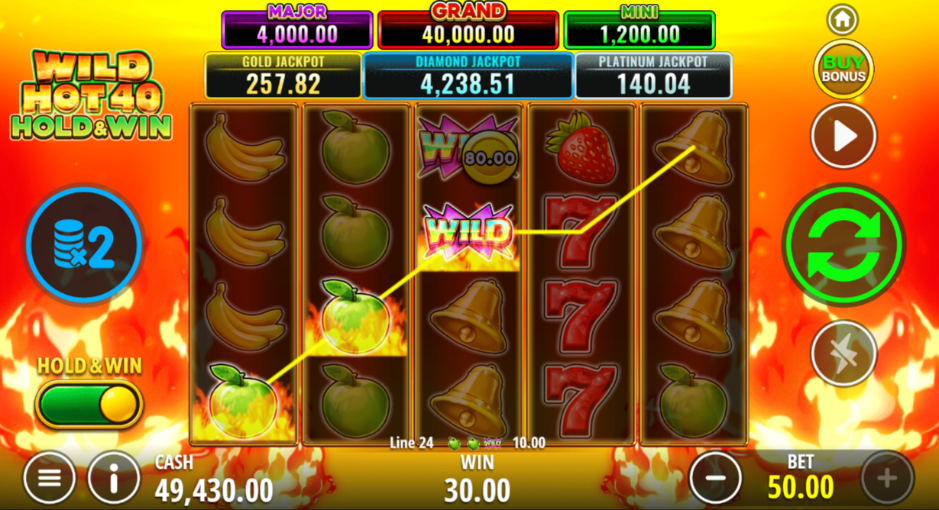 wild-hot-40-hold-and-win-slot-visuals-img