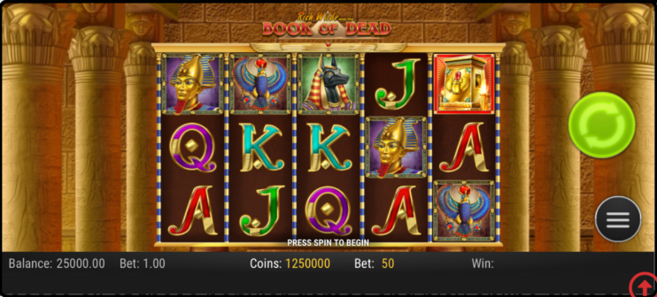 book-of-dead-slot-img